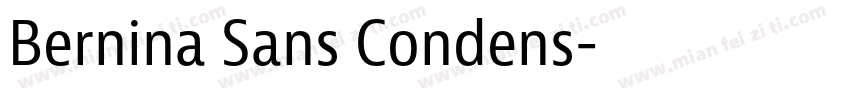 Bernina Sans Condens字体转换